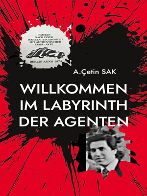 cover image of Willkommen im Labyrinth der Agenten